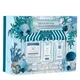 Le Rituel Detox (valeur 62.00€)
